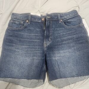 H&M Dark Blue Jean Shorts